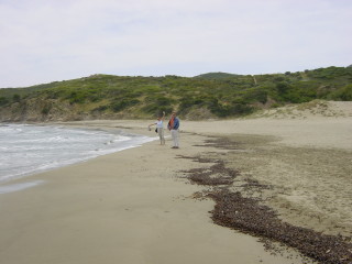 Strand beim Capo Feraxi