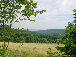 Ausblick auf den Taunus