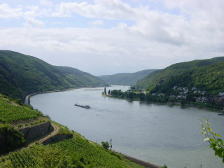 der Blick auf den Rhein