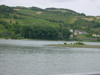 eine kleine Insel im Rhein