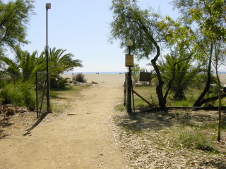 der Blick von unserem Stallplatz zum Strand