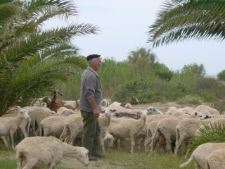 Der Hirte und seine Herde